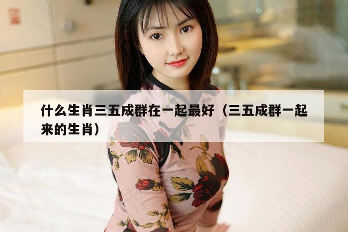 什么生肖三五成群在一起最好（三五成群一起来的生肖）